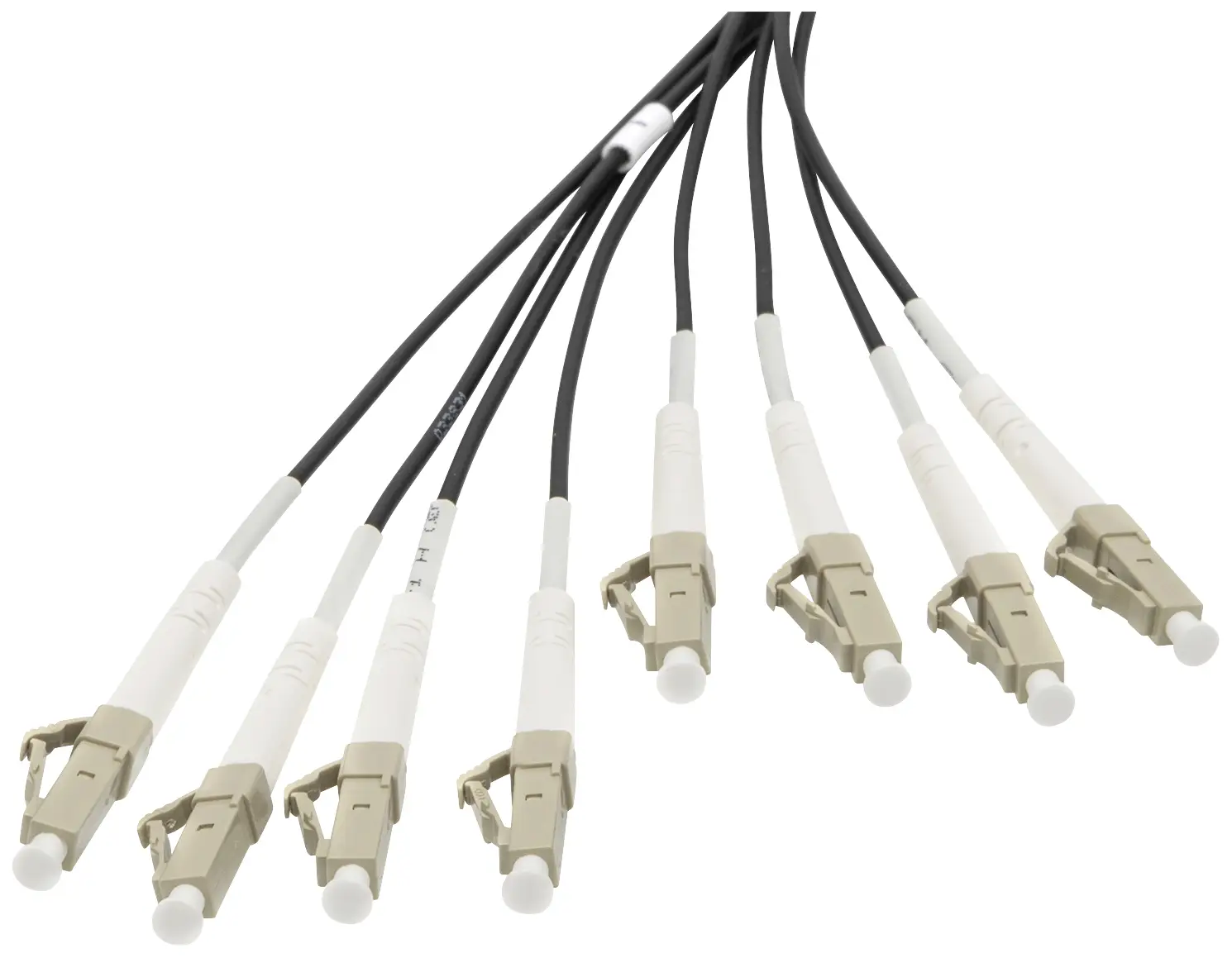 Digitus DK-24338U030BK-BBB optické vlákno optické vlákno kabel 30 m černá [8x LC/UPC zástrčka - 8x LC/UPC zástrčka] 50/125 µ Multimode OM4