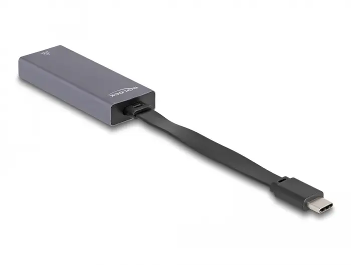 Delock USB 2.0 adaptér [1x USB-C® zástrčka - 1x LAN (10/100/1000 MB/s), USB-C®] 66248 0.09 m