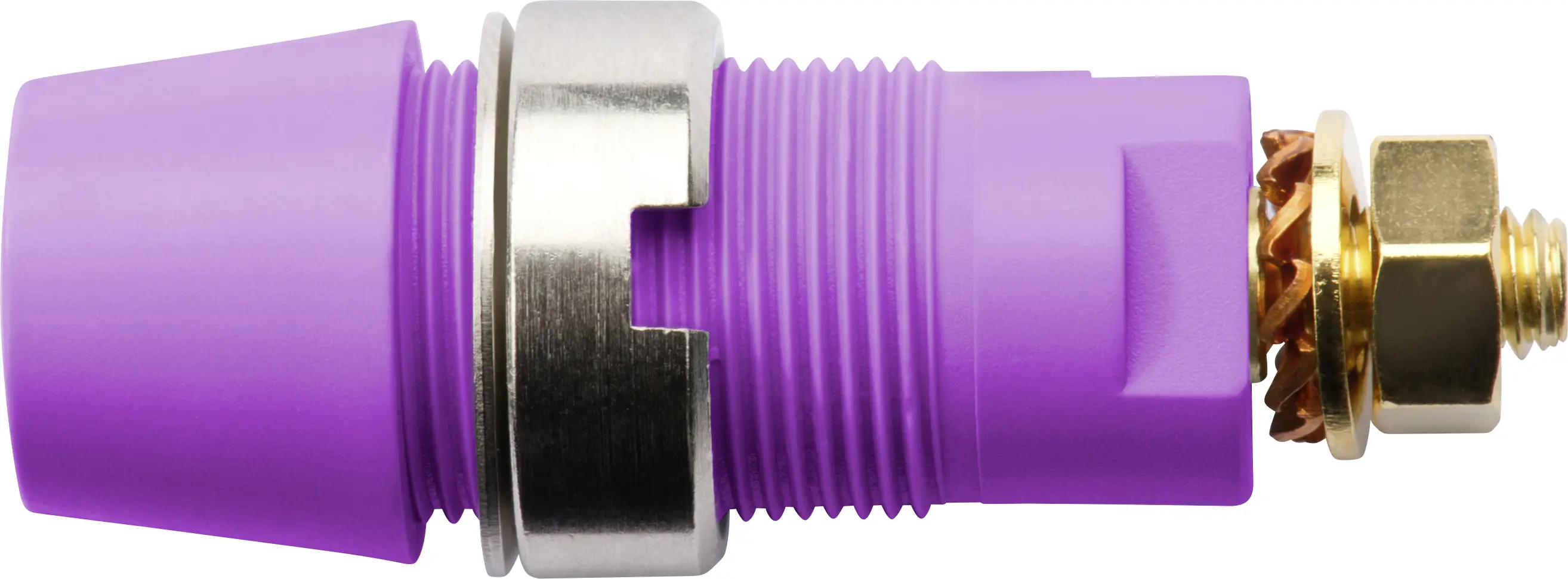 Schützinger bezpečnostní montážní zásuvka 4 mm zásuvka fialová 1 ks Piece Schützinger bezpečnostní montážní zásuvka 4 mm zásuvka fialová 1 ks Piece