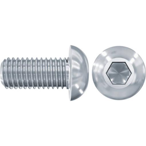 Fischer LKS M 12 x 25 A2 559972 šroub s čočkovou hlavou M12 25 mm nerezová ocel A2 50 ks