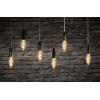 Paulmann 28951 LED E14 svíčkový tvar 4 W zlatá (Ø x v) 35 mm x 98 mm 1 ks