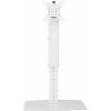 SpeaKa Professional držák monitoru SP-TMS-201 1 Displej: (s) 43,2 cm (17) - 81,3 cm (32) bílá nastavitelná výška, naklápěcí, nakláněcí
