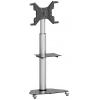 SpeaKa Professional SP-TVC-500 TV kolečkový vozík 94,0 cm (37) - 203,2 cm (80) podlahový stojan, nastavitelná výška, naklápěcí