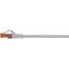 Renkforce RF-5047516 RJ45 síťové kabely, propojovací kabely CAT 6 U/UTP 0.50 m šedá s ochranou, bez halogenů 1 ks