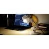 Polymaker PC01001 PolyLite vlákno pro 3D tiskárny PC polykarbonát Vysoká tuhost, Žáruvzdorné 1.75 mm 1000 g transparentní 1 ks