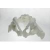 Polymaker PA06002 PolyMAX Tough vlákno pro 3D tiskárny PLA plast Vysoká tuhost, Vysoká pevnost v tahu, Nárazuvzdorný 1.75 mm 750 g bílá 1 ks
