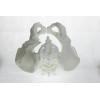 Polymaker PA06002 PolyMAX Tough vlákno pro 3D tiskárny PLA plast Vysoká tuhost, Vysoká pevnost v tahu, Nárazuvzdorný 1.75 mm 750 g bílá 1 ks