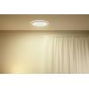 WiZ 8719514554955 SuperSlim WiZ Ceiling 22W B RD 27-65K TW LED stropní svítidlo 22 W černá