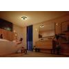 Philips Hue 8719514452251 Xamento M Hue ceiling lamp black LED stropní svítidlo LED 33.5 W černá