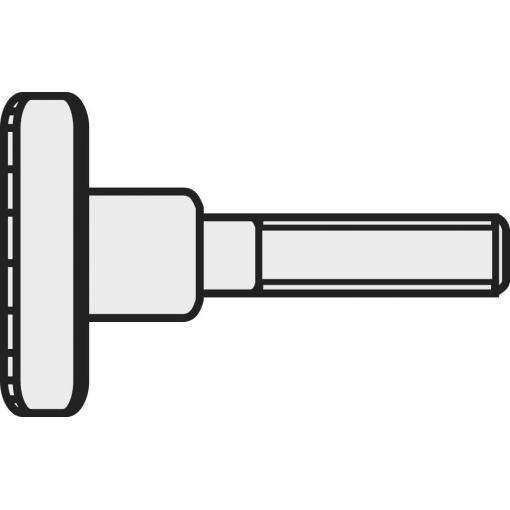 TOOLCRAFT M3*6 D464-5.8:A2K 190321 rýhovaný šroub M3 6 mm DIN 464 ocel galvanizováno zinkem 10 ks