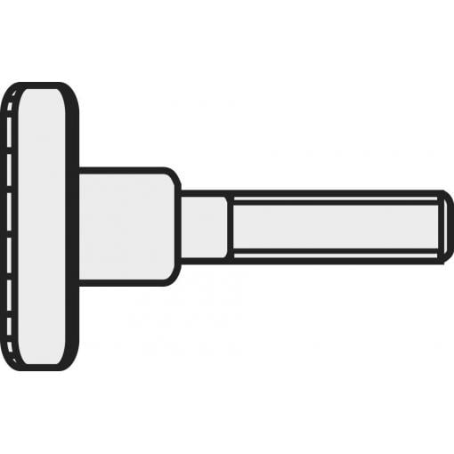TOOLCRAFT M3*8 D464-5.8:A2K 188713 rýhovaný šroub M3 8 mm DIN 464 ocel galvanizováno zinkem 10 ks