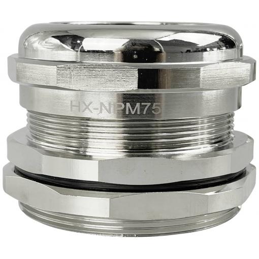 TRU COMPONENTS TC-10302864 kabelová průchodka M75 mosaz (poniklovaná) kov 1 ks