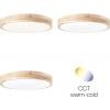 Brilliant G99414/75 Slimline LED stropní svítidlo LED pevně vestavěné LED Energetická třída (EEK2021): F (A - G) 13 W dřevo (světlé), bílá