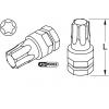 KS Tools 503.8171 503.8171 bit Torx T 10 speciální ocel niklováno 1 ks