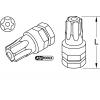 KS Tools 503.8201 503.8201 bit Torx TB 10 speciální ocel niklováno 1 ks