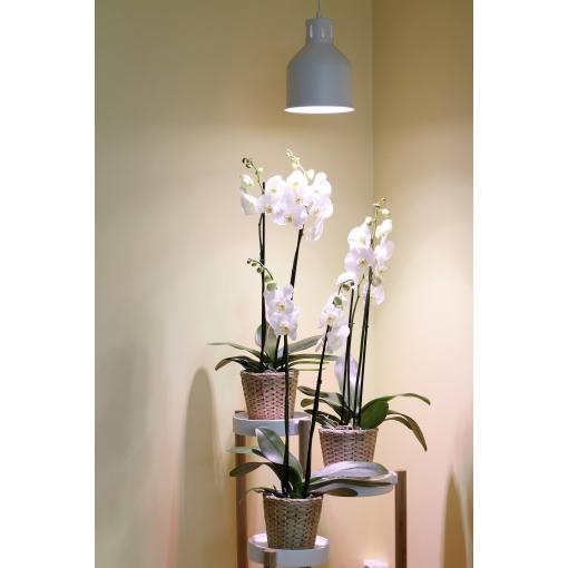 Venso stínítko lampy Saga 22 cm 230 V E27 18 W 1 ks
