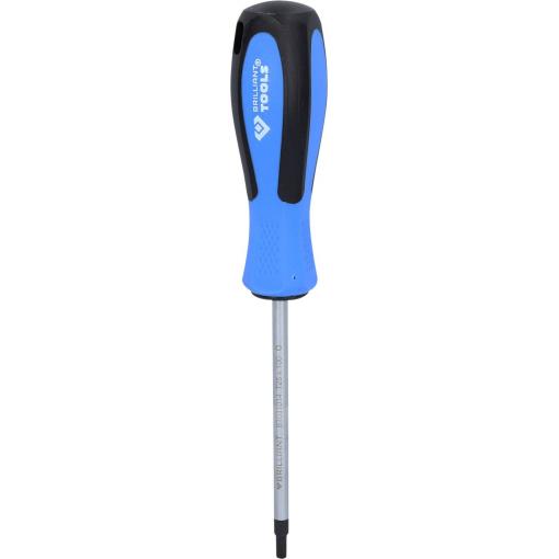 Brilliant Tools BT031014 TX šroubovák Velikost šroubováku T 25 Délka dříku: 100 mm 1 ks