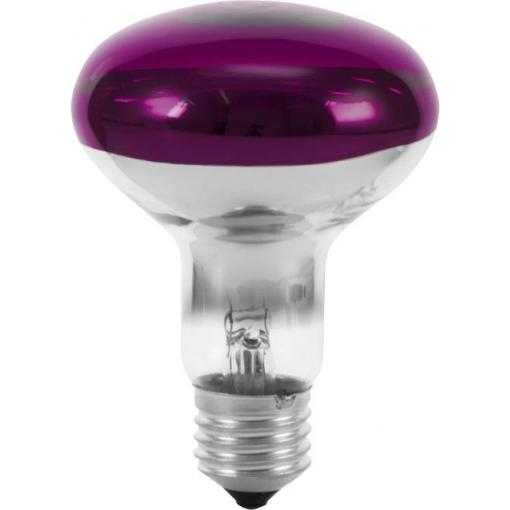 Eurolite 9210440U žárovka E27 žárovka 60 W fialová (Ø x d) 80 mm x 110 mm 1 ks