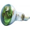 Eurolite 9210410U žárovka E27 žárovka 60 W zelená (Ø x d) 80 mm x 110 mm 1 ks