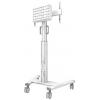 Neomounts FL50S-825WH1 TV kolečkový vozík 94,0 cm (37) - 190,5 cm (75) podlahový stojan, naklápěcí, nastavitelná výška