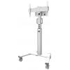 Neomounts FL50S-825WH1 TV kolečkový vozík 94,0 cm (37) - 190,5 cm (75) podlahový stojan, naklápěcí, nastavitelná výška