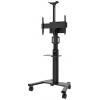 Neomounts FL50S-825BL1 TV kolečkový vozík 94,0 cm (37) - 190,5 cm (75) podlahový stojan, naklápěcí, nastavitelná výška