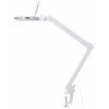 TOOLCRAFT TO-7497012 Zvětšovací LED svítilna TOOLCRAFT 800 lm s upínacím přípravkem 1,75x zvětšení=1.75 x 14.3 cm Třída energetické účinnosti 2021 F (A - G)