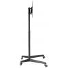 Neomounts FL50-540BL1 TV stojan 94,0 cm (37) - 177,8 cm (70) stojan, naklápěcí, nastavitelná výška
