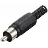 TRU COMPONENTS TC-10336008 cinch konektor zástrčka, rovná černá 1 ks