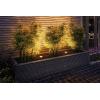 Paulmann P+S Floor Set insect friendly 94717 Osvětlovací systém Plug&Shine LED vestavná svítidla LED 13.5 W zlatá antracitová