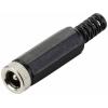 TRU COMPONENTS nízkonapěťový konektor zásuvka, rovná 6.0 mm 2.5 mm 1 ks