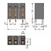 WAGO 2086-3124/300-000 svorkovnice pro tiskárny 1.50 mm² Pólů 4 černá 1 ks