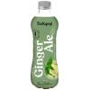 Sodapop nápojový sirup Ginger Ale Bar Sirup