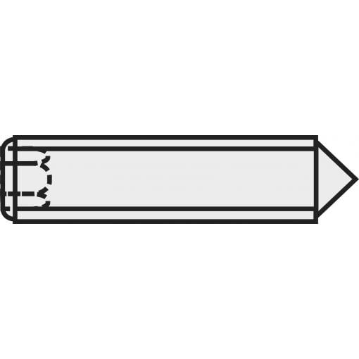 TOOLCRAFT 839846 stavěcí šroub M2.5 5 mm ocel 20 ks