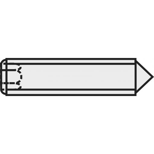 TOOLCRAFT 839851 stavěcí šroub M6 10 mm ocel 20 ks