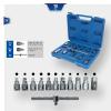 Brilliant Tools BT711150 Sada nástrčných hlavic pro olejové práce, 12 ks