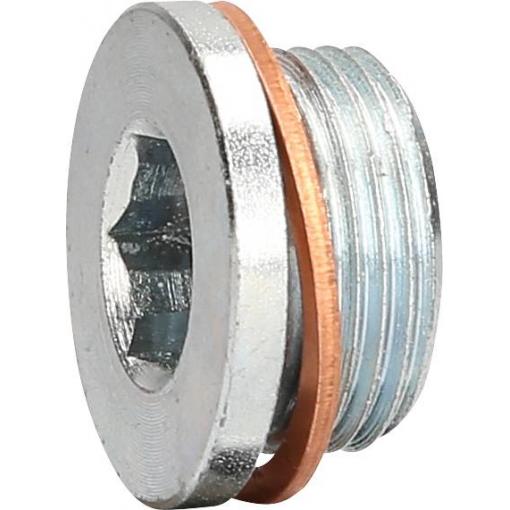 KS Tools 4300602 Zátka M22 x 1,5 x 13 mm pro RENAULT