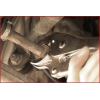KS Tools 1151197 kleště samosvorné