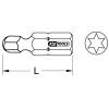 KS Tools 911.3389 9113389 bit Torx T 10 speciální ocel niklováno C 6.3 1 ks
