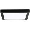 Paulmann 71026 Abia LED stropní svítidlo 22 W černá