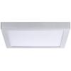 Paulmann 71024 Abia LED stropní svítidlo 22 W chrom (matný)
