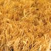 COBA Europe CM050008 Coir rohož pro zachycení nečistot (d x š x v) 80 cm x 40 cm x 23 mm světle hnědá