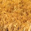 COBA Europe CM050010 Coir rohož pro zachycení nečistot (d x š x v) 120 cm x 60 cm x 23 mm světle hnědá