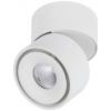 Paulmann 93373 Spircle LED osvětlení na stěnu/strop LED pevně vestavěné LED 8 W bílá
