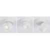 Paulmann 93373 Spircle LED osvětlení na stěnu/strop LED pevně vestavěné LED 8 W bílá