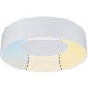 Paulmann 78946 HomeSpa Casca LED stropní svítidlo LED 16.00 W bílá