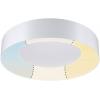 Paulmann 78947 HomeSpa Casca LED stropní svítidlo bílá