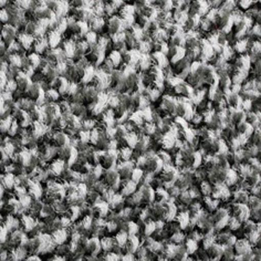 COBA Europe LM010602 Vstupní rohož Cobawash - 0,85 x 1,5 m (d x š x v) 1500 x 850 x 9 mm 1 ks