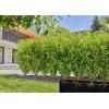 GARDENA Systém Micro-Drip 13503-20 zavlažovací trubka 13 mm (1/2) Ø