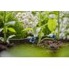 GARDENA Systém Micro-Drip 13314-20 Řadový kapač 4,6 mm